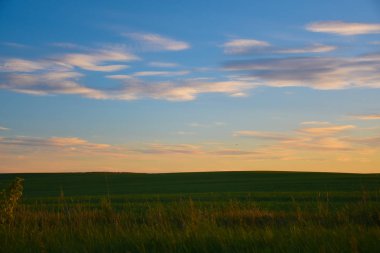 alan üzerinde gün batımı bir manzara 