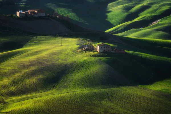 Wunderschöne Hügel in der grünen Farbe des Frühlings. — Stockfoto