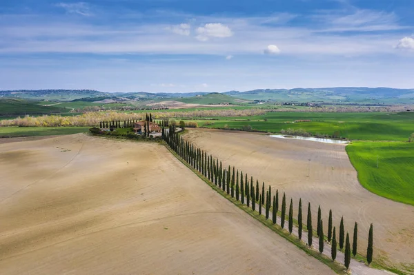 Amazing fields of Tuscany. — Stock Photo, Image