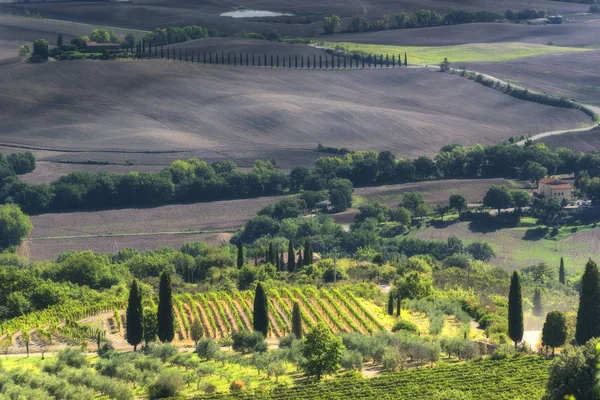 Úchvatný výhled na toskánskou krajinu. — Stock fotografie
