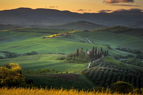 Voorjaarslicht beschilderde velden in Toscane. — Stockfoto