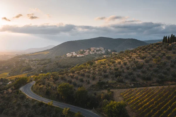 Pandangan dekat dari drone ke kebun anggur Tuscan . — Stok Foto