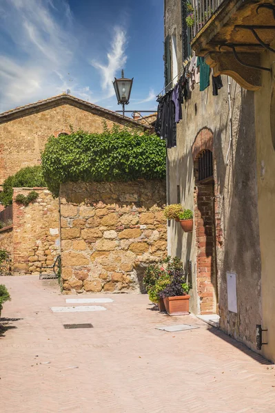 Sunny Streets Colorful Flowers Contrasting Shades Walk Tuscan Town — Stock Photo, Image