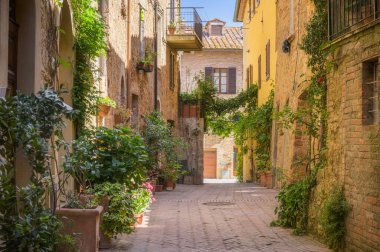 Çelişkili gölgeli, renkli çiçekli güneşli sokaklar. Toskana şehrinde yürü