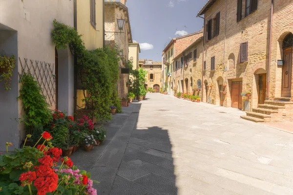 Sunny Streets Colorful Flowers Contrasting Shades Walk Tuscan Town — Stock Photo, Image