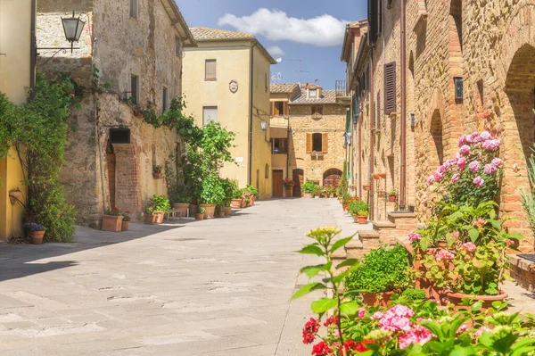 Calles Soleadas Con Flores Colores Con Tonos Contrastantes Caminar Por — Foto de Stock