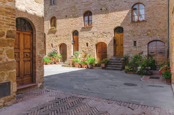 Sunny Streets Colorful Flowers Contrasting Shades Walk Tuscan Town — Stock Photo, Image