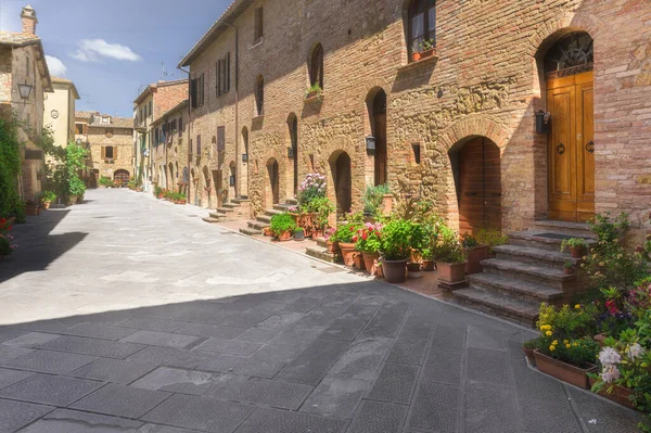 Sunny Streets Colorful Flowers Contrasting Shades Walk Tuscan Town Stock Image