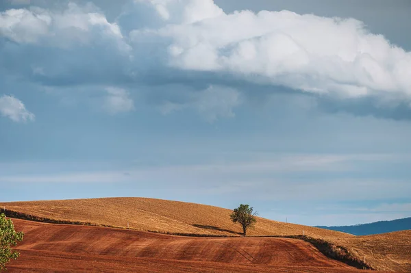 Autunno Caduta Terra Italiana — Foto Stock