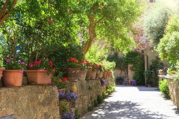 Sunny streets with colorful flowers with contrasting shades. Walk the Tuscan town — Stock Image Sunny Streets Colorful Flowers Contrasting Shades Walk Tuscan Town Royalty Free Stock Images
