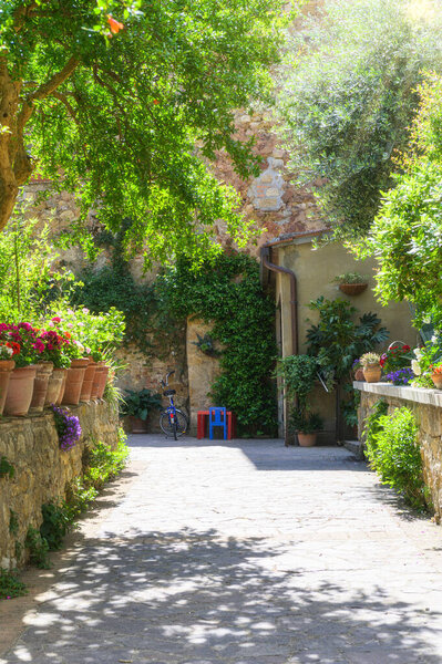 Sunny streets with colorful flowers with contrasting shades. Walk the Tuscan town — Stock Image Sunny Streets Colorful Flowers Contrasting Shades Walk Tuscan Town Royalty Free Stock Images
