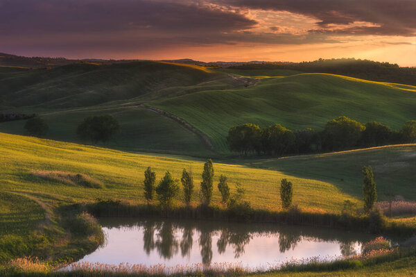 Spring fields on hills and sunset — Stock Image Spring Fields Hills Sunset Stock Image