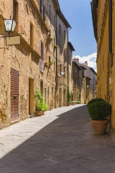 Sunny Streets Colorful Flowers Contrasting Shades Walk Tuscan Town — Stock Photo, Image