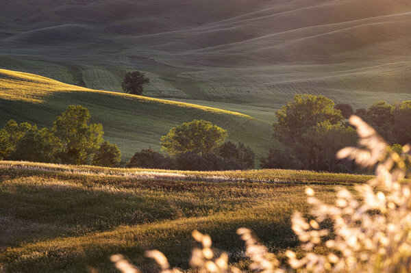 Spring fields on hills and sunset — Stock Image Spring Fields Hills Sunset Royalty Free Stock Images