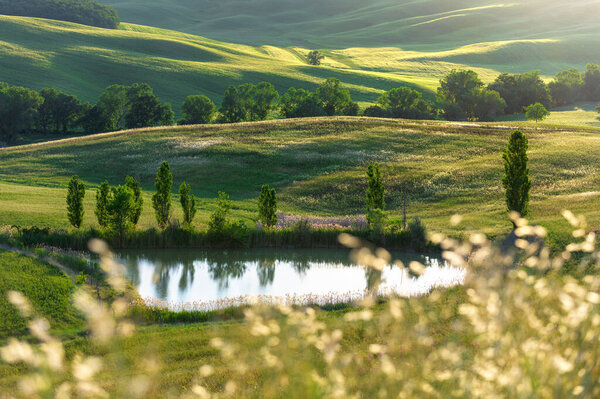 Spring fields on hills and sunset — Stock Image Spring Fields Hills Sunset Royalty Free Stock Photos