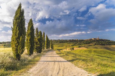 Tepelerdeki bahar tarlaları ve günbatımı