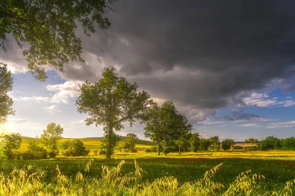 Frühlingsfelder Auf Hügeln Und Sonnenuntergang — Stockfoto