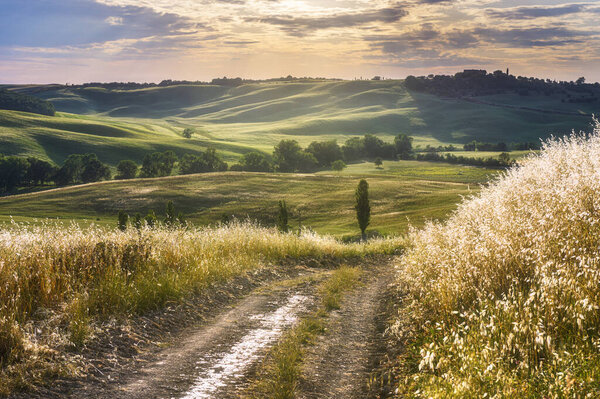 Весенние поля на холмах и закате