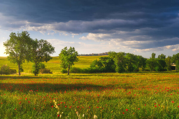 Stormy weather over poppies and fields of green — Stock Image Stormy Weather Poppies Fields Green Stock Photo
