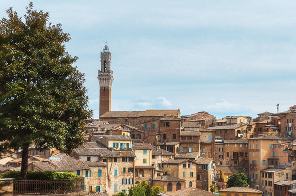 Siena, Italy - August 2020 afternoon view of the historical town of Siena steets and corners — Stock Image Siena Italy August 2020 Afternoon View Historical Town Siena Steets Stock Picture