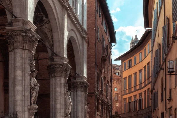 Siena Italia August 2020 Ettermiddagsutsikt Den Historiske Byen Siena Steets – stockfoto