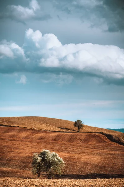 Autumn Fall Italian Land — Stock Photo, Image