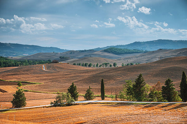 Autumn Fall Italian Land Stock Image