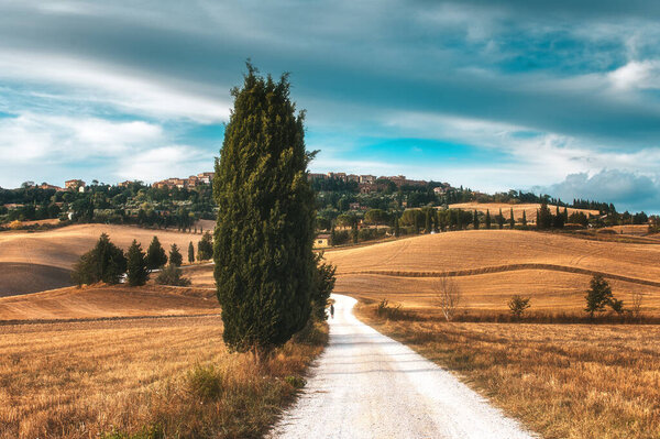 Autumn fall in the Italian land — Stock Image Autumn Fall Italian Land Royalty Free Stock Photos