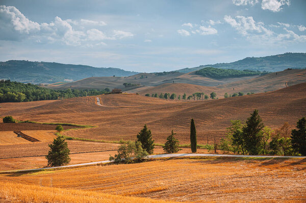 Autumn Fall Italian Land Stock Picture