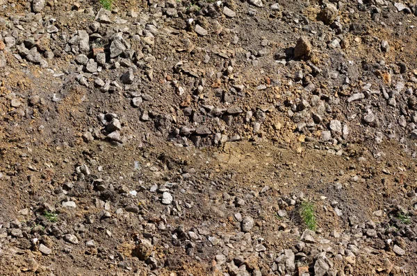 Textura da terra, vista superior, grama cresce — Fotografia de Stock