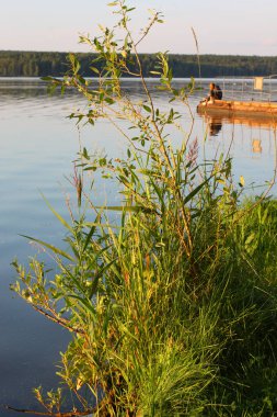 Günbatımı nehir ufku silueti dalları manzarası. Nehir batımı ufku.