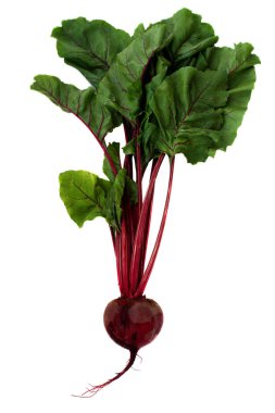 Beyaz arka planda taze pancar. Güzel yeşil yapraklar.