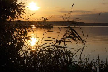 Günbatımı nehir ufku silueti dalları manzarası. Nehir batımı ufku.