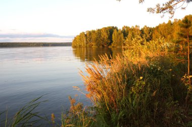 Günbatımı nehir ufku silueti dalları manzarası. Nehir batımı ufku.