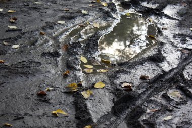 yerde sonbahar kir, araba izi, sarı sonbahar yaprakları,