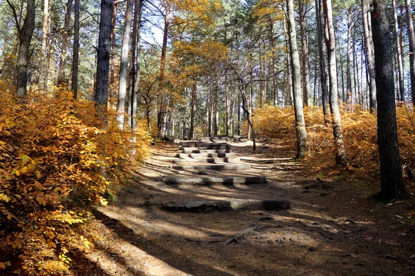 Paisagem Outono Belo Beco Parque Passos Feitos Pedra Natural Subir — Fotografia de Stock