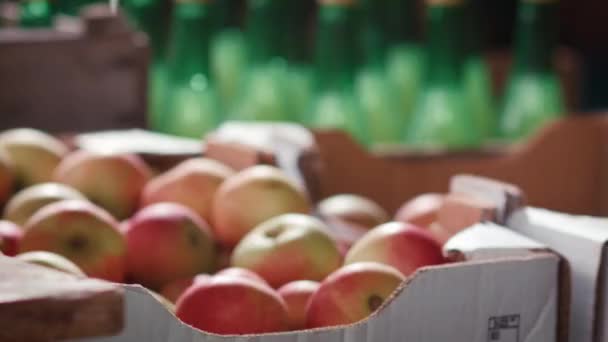 Jabłka Umieszczane Tekturowej Skrzyni Stoisku Rynkowym — Wideo stockowe