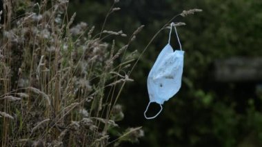 COVID-19 Vahşi Çimenlerde Yakalanmış Ameliyat Maskesi. Kirli, yırtık, tek kullanımlık bir kağıt maske kırsal bir ortama çöp atıyor..