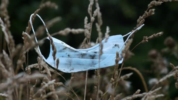 Covid Disposed Surgical Mask Caught Wild Grass Брудна Перерізана Одноразова — стокове відео