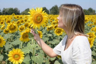 Güzel kadın ayçiçeği tarlasında bir ayçiçeği bakar