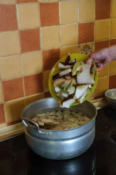 Pilze Kochen Der Küche — Stockfoto