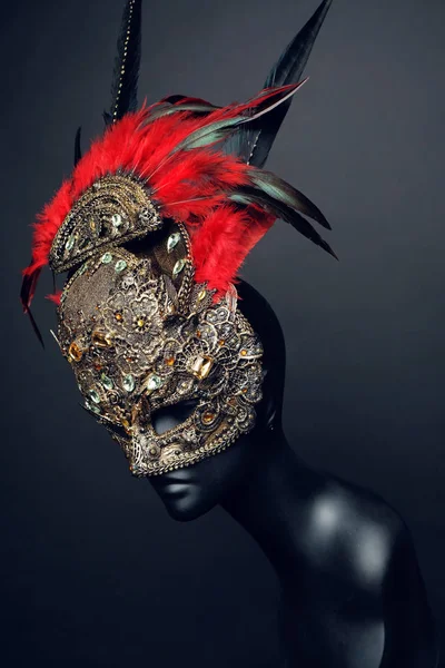 iron mask with precious stones and feathers