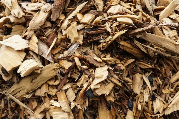 Large Pile Wood Chips Going Chipper — Stock Photo, Image