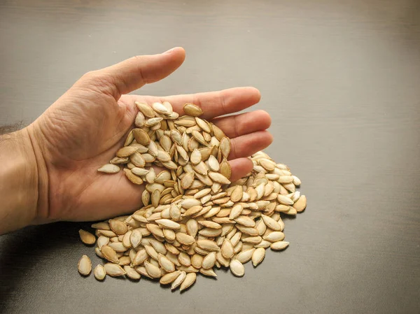Close up of unpeeled pumpkin seeds in hand with brown wooden background. Pumpkin seeds in hand next to the pumpkin seeds are poured on wooden surface