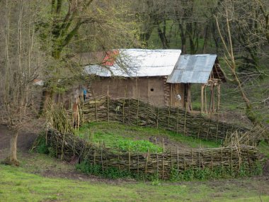 Iran 'da güzel bir bahçe, Gilan, Asya