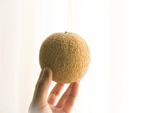 Närbild Färsk Cantaloupemelon Till Hands Med Med Bakgrund Gul Melon — Stockfoto
