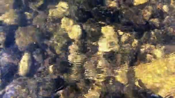 Roca Bajo Agua Transparente Piedras Bajo Flujo Agua Del Río — Vídeo de stock