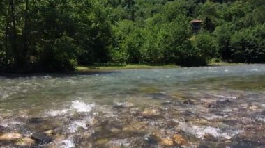 Nehir ormanı doğa manzarası. Ormandan akan nehir suyu. Ormanda nehir kenarında bir ev..