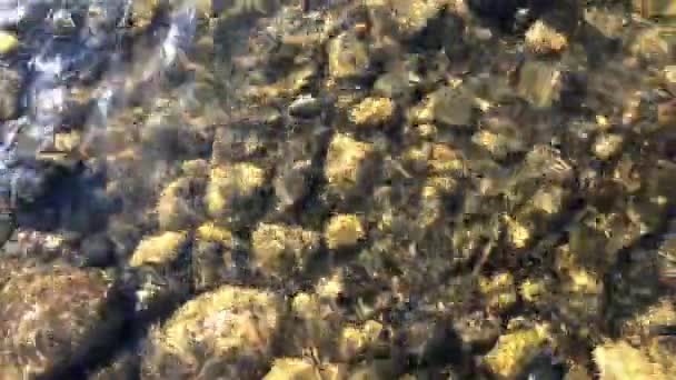 Batu Berwarna Warni Bawah Sungai Batu Bawah Aliran Air Sungai — Stok Video