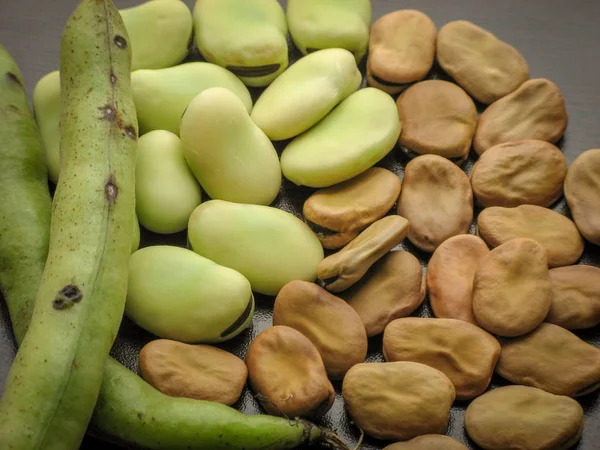 Kuru ve taze geniş fasulye tohumları (Vicia faba) ve ahşap masa üzerinde pod taze seçilmiş ham geniş fasulye closeup. Karanlık arka plan. 